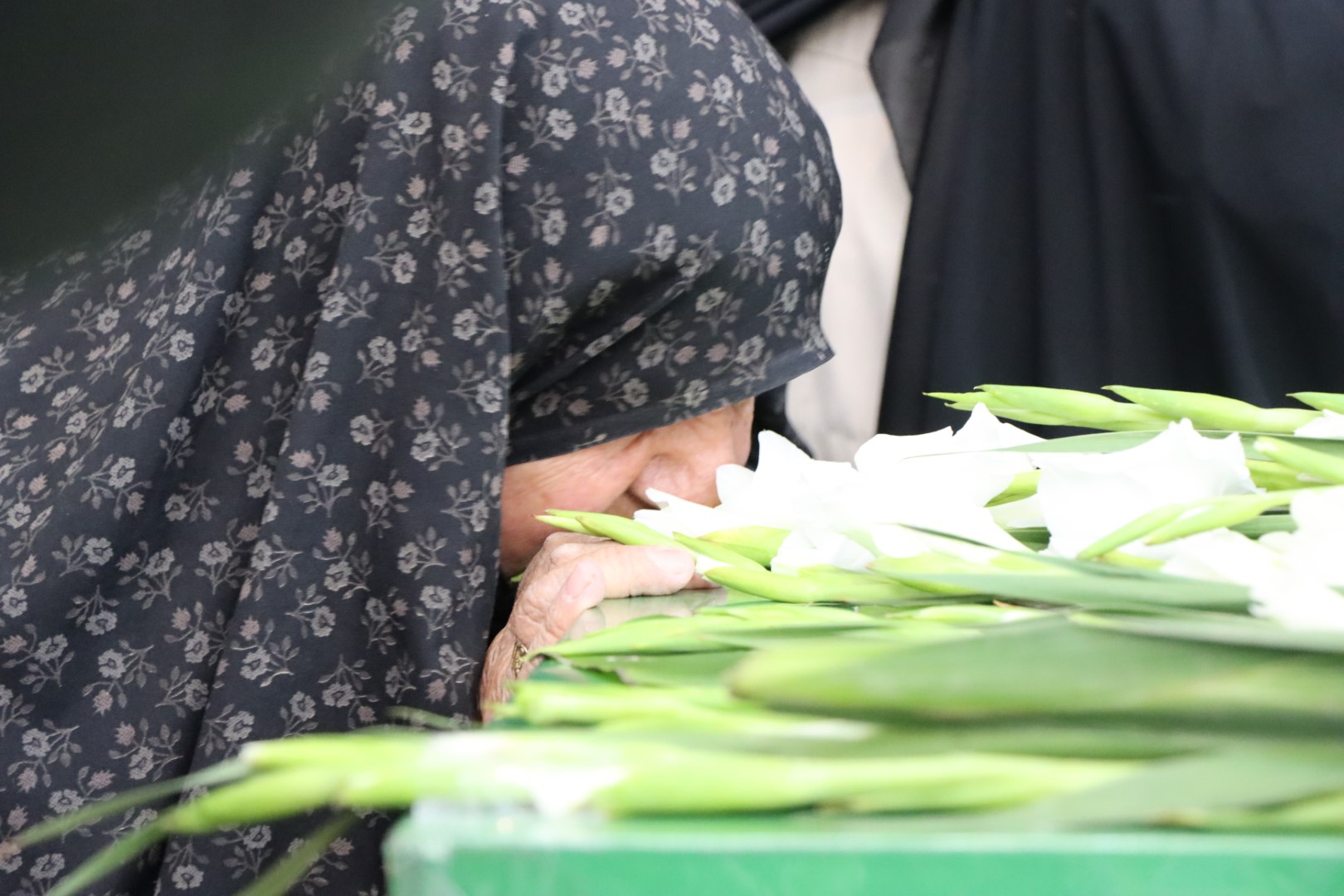 دانشگاه مراغه